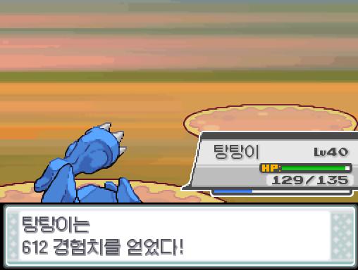 탕탕이의 분연 공격! 효과가 굉장했다! 상대 동미러는 쓰러졌다! 피카츄는 612 경험치를 얻었다! 탕탕이는 612 경험치를 얻었다! 새 조련사