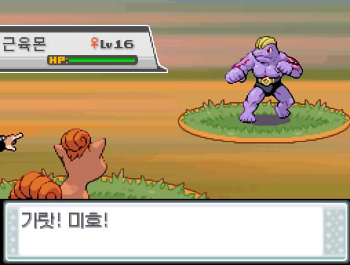 38번도로에서 포켓몬과 만날 수 있는 횟수: 최대 1회/현재 1회 38번도로에서 트레이너와 배틀할 수 있는 횟수: 최대 1회/현재 1회 (특별한