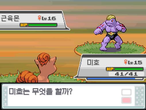 38번도로에서 포켓몬과 만날 수 있는 횟수: 최대 1회/현재 1회 38번도로에서 트레이너와 배틀할 수 있는 횟수: 최대 1회/현재 1회 (특별한