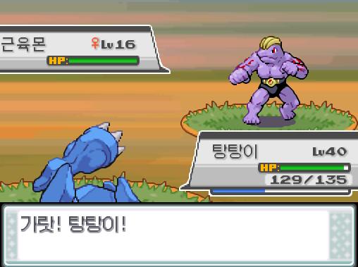 탕탕이는 무엇을 할까? >>674 싸운다: 아이언헤드15/독찌르기20/분연14/사이코커터20 가방: 상처약2/하이퍼볼3 포켓몬: Lv.27 이그