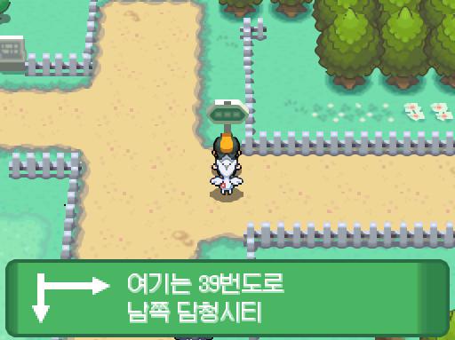 연가람은 근손실가자를 일단 PC로 보냈다. 연가람은 39번도로에 도착했다. 39번 도로에는 튼튼 목장이 있다. 튼튼목장을 구경하던 연가람은 기술