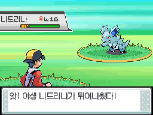 39번도로에서 포켓몬과 만날 수 있는 횟수: 최대 1회/현재 1회 39번도로에서 트레이너와 배틀할 수 있는 횟수: 최대 1회/현재 0회 (특별한