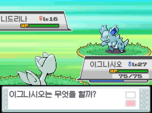 39번도로에서 포켓몬과 만날 수 있는 횟수: 최대 1회/현재 1회 39번도로에서 트레이너와 배틀할 수 있는 횟수: 최대 1회/현재 0회 (특별한