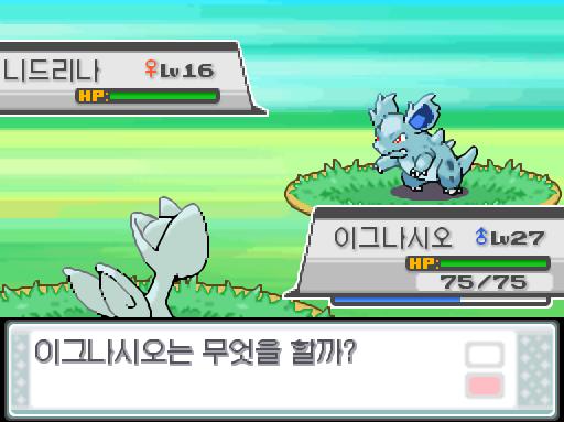 39번도로에서 포켓몬과 만날 수 있는 횟수: 최대 1회/현재 1회 39번도로에서 트레이너와 배틀할 수 있는 횟수: 최대 1회/현재 0회 (특별한