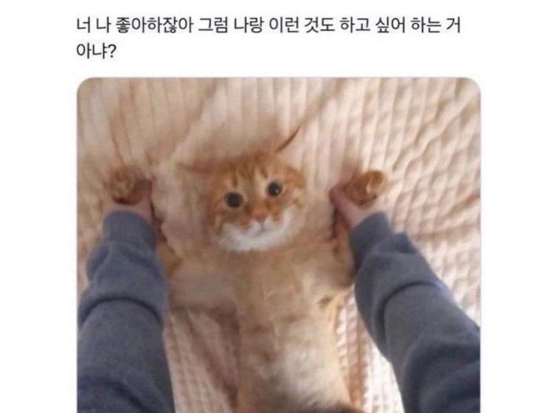 우연히 봤는데 이 짤 뭐야 ㅋㅋㅋㅋㅅㅂ