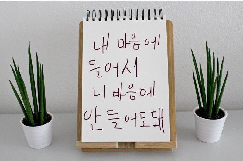 내 드림이 지들 마음에 안 든다고 징징대면서 이래라 저래라 분홍머리 하지마라 가슴크기 줄여라 미인설정 넣지마라 시애미짓 할때마다 이짤 됨