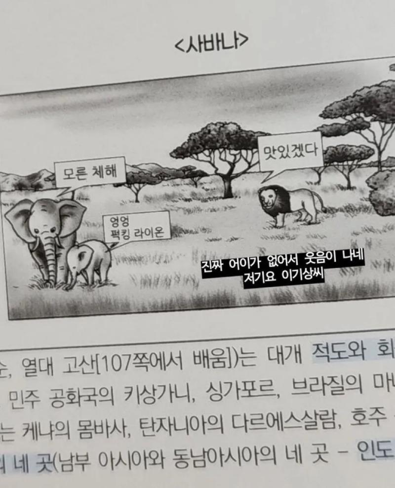 저기요 이기상씨