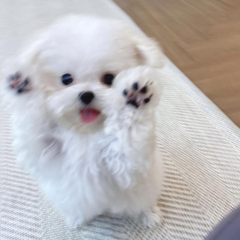 나 >>876인데 답해줘서 고마우ㅠㅠ 그럼 이번 학기 안에 나 남자애랑 썸탈까? 그리고 탄다면 그 남자가 지금 내과 관심 있는 그 남자애일지 궁