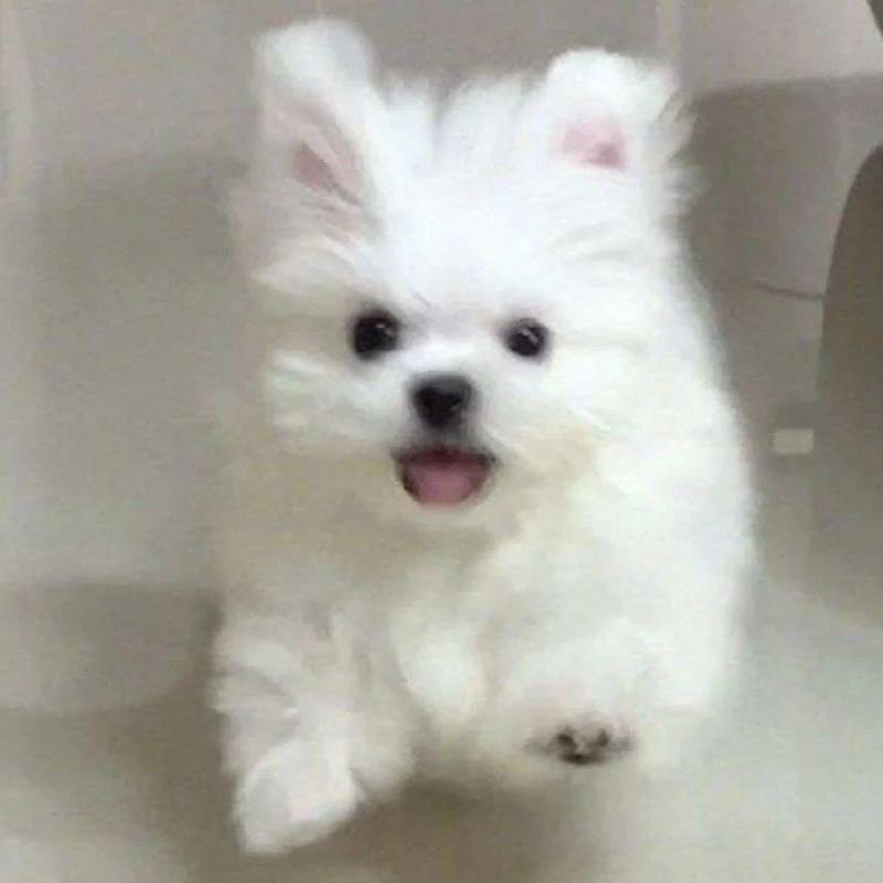 나 >>876인데 답해줘서 고마우ㅠㅠ 그럼 이번 학기 안에 나 남자애랑 썸탈까? 그리고 탄다면 그 남자가 지금 내과 관심 있는 그 남자애일지 궁