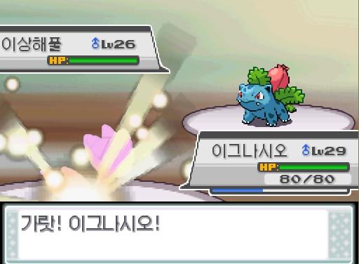 땃쥐공주 교체! 돌아와! 가랏! 이그나시오! 상대 이상해풀의 에너지볼! 효과가 별로인듯하다. 이그나시오는 무엇을 할까? >>775 싸운다: 화염