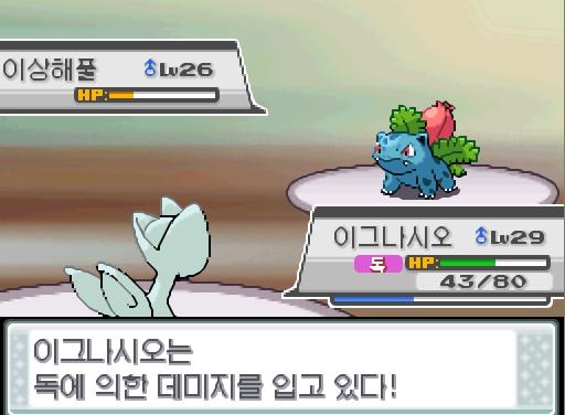 상대 이상해풀은 독찌르기를 썼다! 이그나시오의 몸에 독이 퍼졌다! 이그나시오는 독에 의한 피해를 입고 있다! 이그나시오는 무엇을 할까? >>77