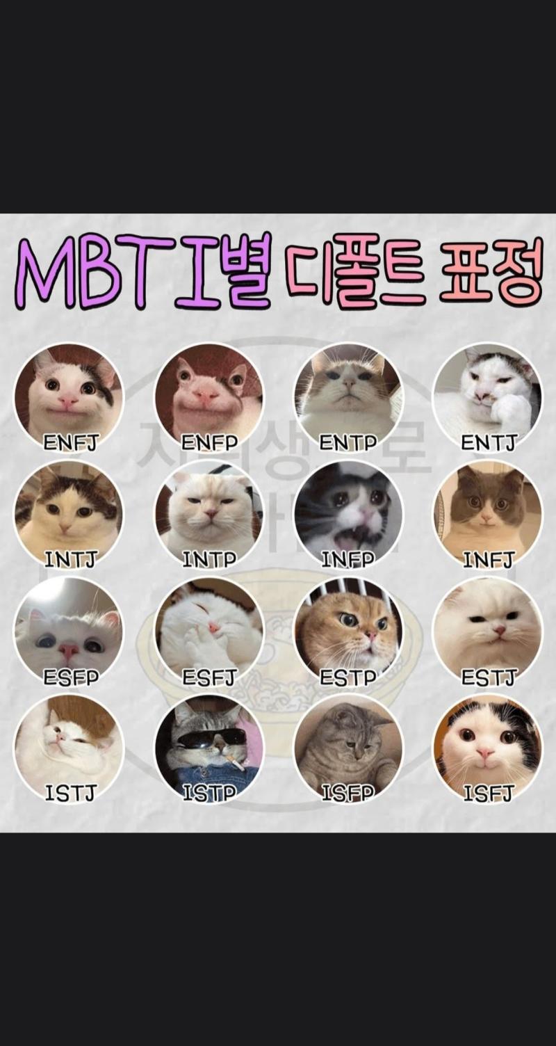 너네는 이거 공감 돼? 난 어느정도 되는 듯... 인프피임