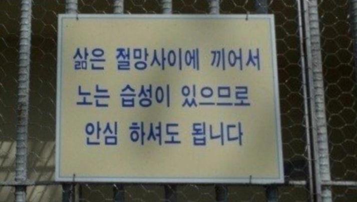 그러하다