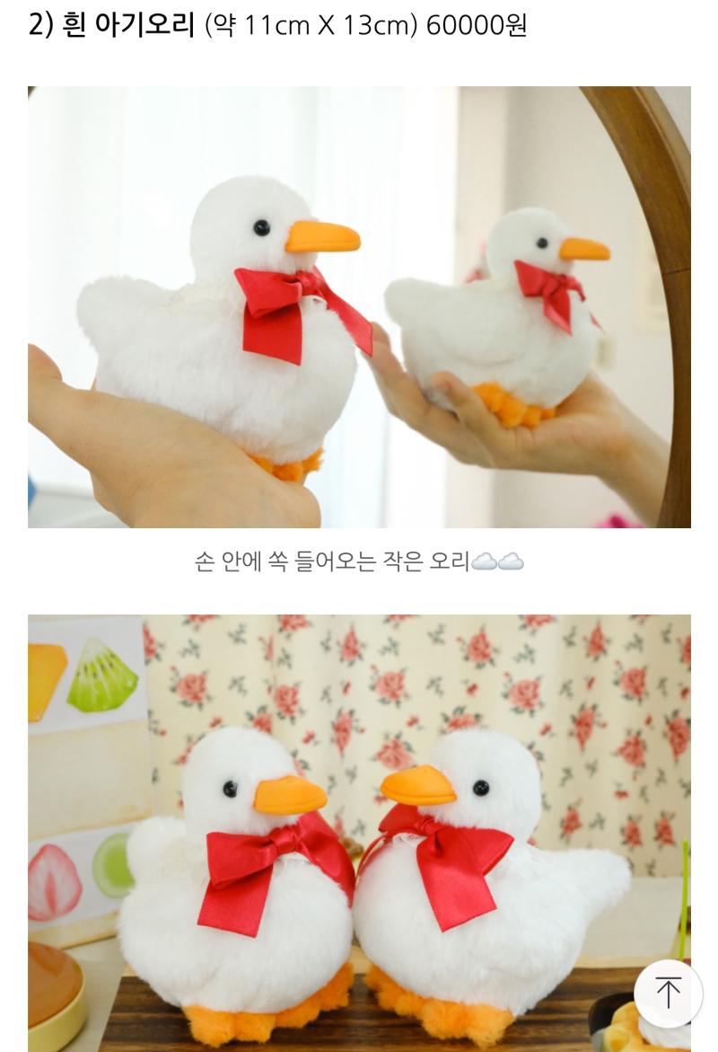 너넨 이 오리인형들중에 뭐가 귀여워? 종류: 큰 흰오리, 작은 노란/흰오리, 메론오리, 캇파오리
