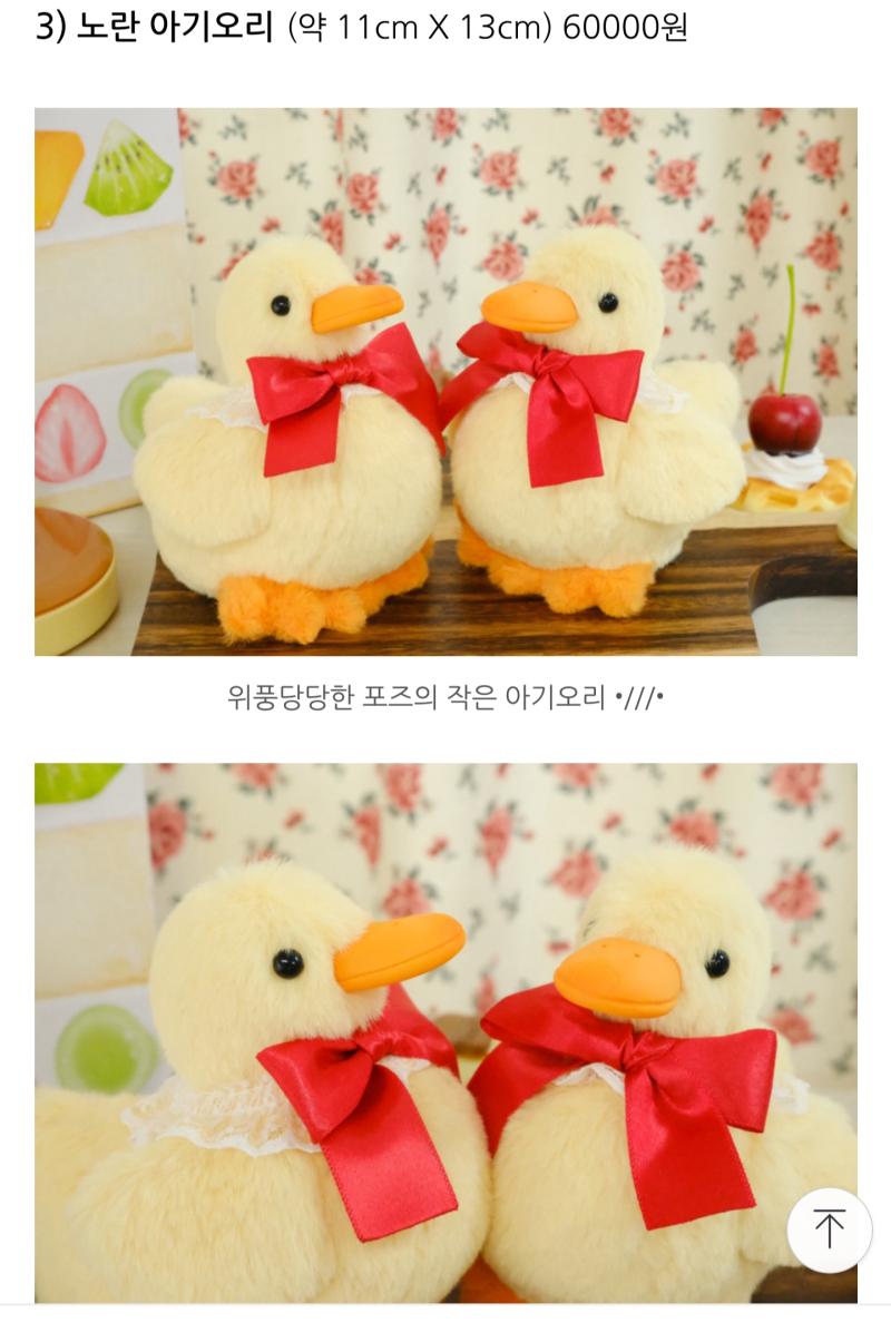 너넨 이 오리인형들중에 뭐가 귀여워? 종류: 큰 흰오리, 작은 노란/흰오리, 메론오리, 캇파오리