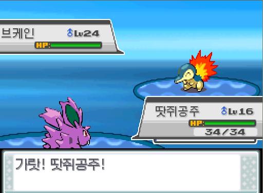 "물에 들어가기 전에는 준비 운동!" 40번 수로에서 트레이너와 배틀할 수 있는 횟수: 최대 1회/현재 1회 (특별한 트레이너 제외) 40번 수