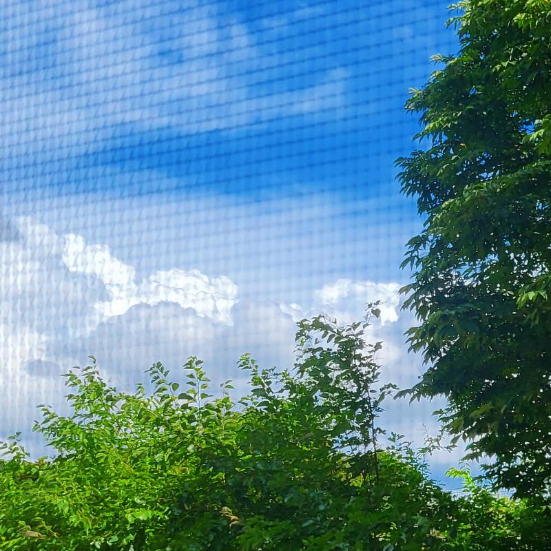 킹지만 구름 넘 아름다와..☁️🩵
