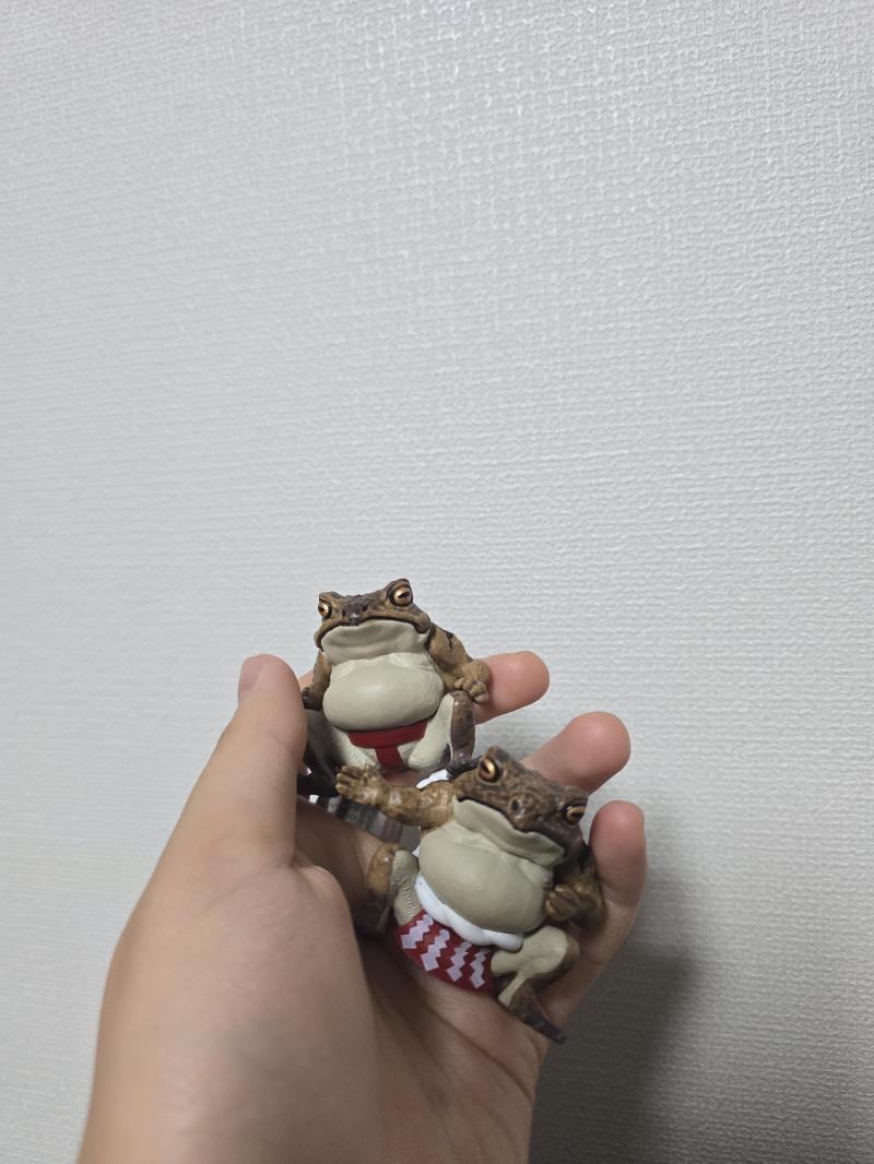 ㅠ개구리 뽑아오랫더니 두꺼비 두 마리 뽑아줌
