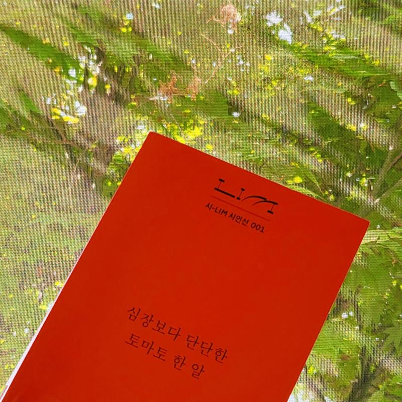 다시 독서 시작📚