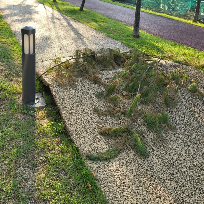 산책로도 폭염으로 파업했듬..길이 들릴줄이야..