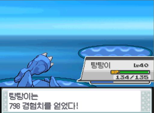 탕탕이의 아이언헤드! 상대 흉내내는 쓰러졌다. 탕탕이는 798 경험치를 얻었다! 비전통은 798 경험치를 얻었다! 수영팬티소년 신남의 포켓몬 1