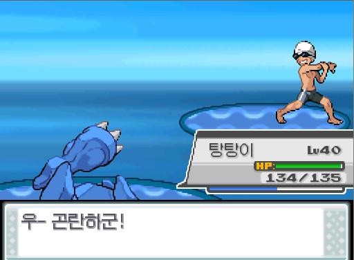탕탕이의 아이언헤드! 상대 흉내내는 쓰러졌다. 탕탕이는 798 경험치를 얻었다! 비전통은 798 경험치를 얻었다! 수영팬티소년 신남의 포켓몬 1