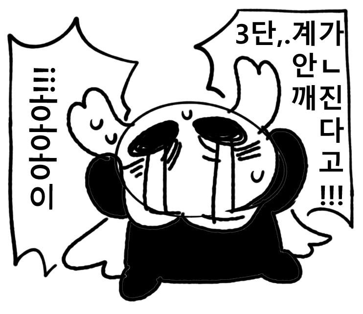 투기장