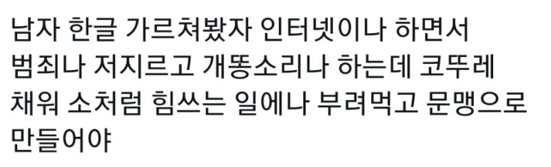 근데 그 남자가 만든 한글 쓰면서 저런말 쓰는거 모순 아닌가 이이번에 베트남 폭행 사건은 뭐임 남자들 범죄 많은건 맞는데 여자 범죄자는 뭐임??