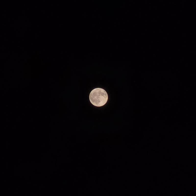 새 폰으로 처음 찍어본 달 사진🌕