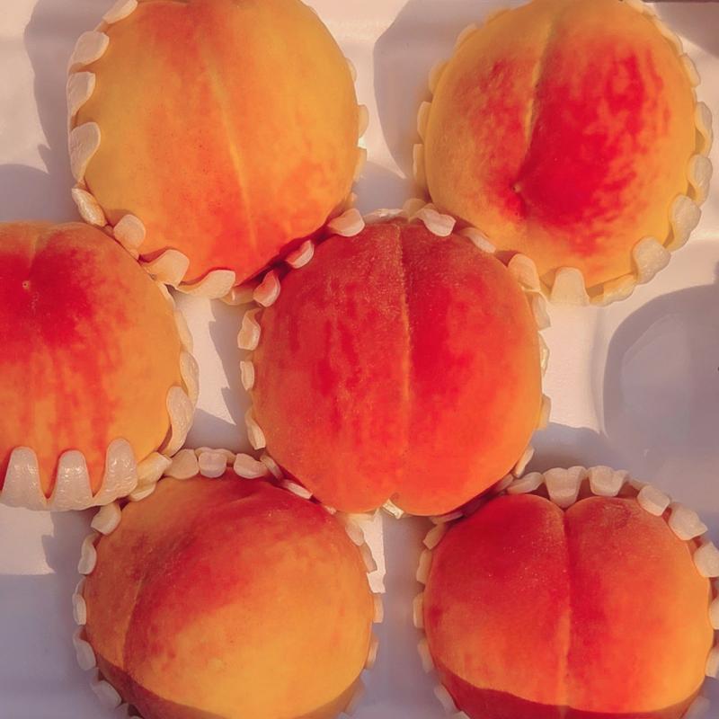말랑 복숭아의 계절🍑