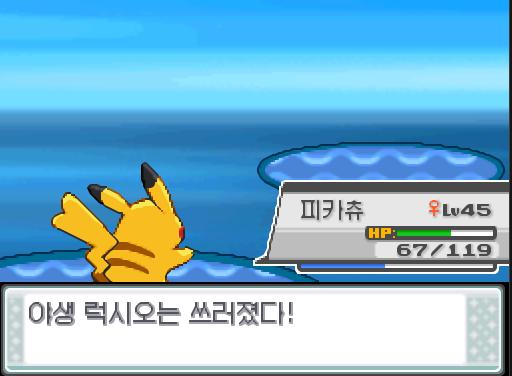 야생 럭시오의 정신차리기! 피카츄의 마비가 풀렸다! 피카츄의 특성 정전기 때문에 야생 럭시오는 마비에 걸렸다! 피카츄의 사이코키네시스! 야생 럭