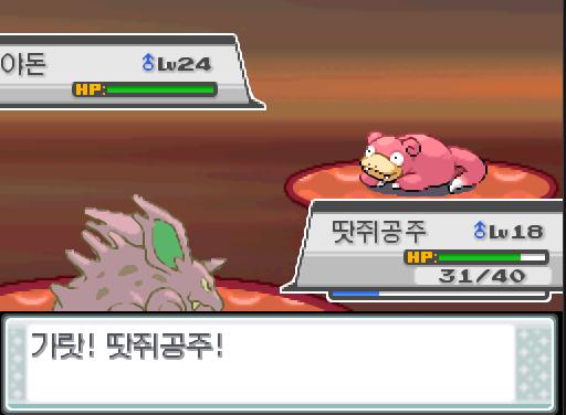 연가람과 비전통은 계속해서 수로로 이동했다. 41번 수로까지 왔을 때 앗! 야생의 야돈이 튀어나왔다! 41번 수로에서 트레이너와 배틀할 수 있는