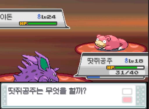 연가람과 비전통은 계속해서 수로로 이동했다. 41번 수로까지 왔을 때 앗! 야생의 야돈이 튀어나왔다! 41번 수로에서 트레이너와 배틀할 수 있는