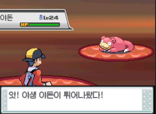 연가람과 비전통은 계속해서 수로로 이동했다. 41번 수로까지 왔을 때 앗! 야생의 야돈이 튀어나왔다! 41번 수로에서 트레이너와 배틀할 수 있는