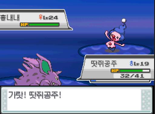 41번 수로를 계속 이동하는 연가람 한테 비키니 아가씨 하미가 승부를 걸어왔다! 41번 수로에서 트레이너와 배틀할 수 있는 횟수: 최대 1회/현