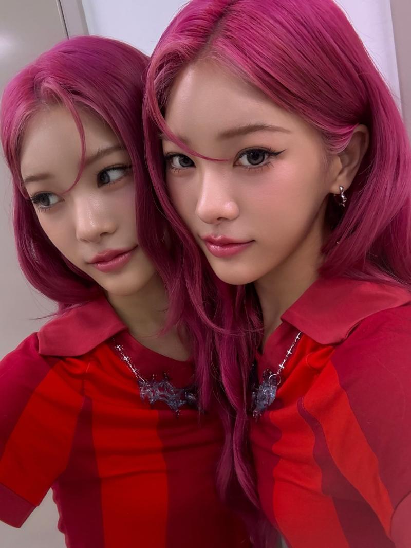 요즘 좋아하는 고양이