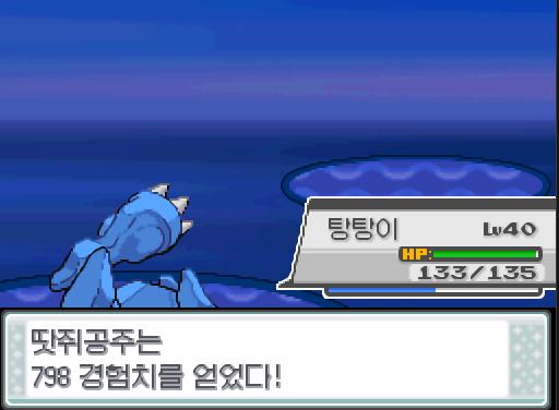 탕탕이의 아이언헤드! 상대 흉내내는 쓰러졌다! 땃쥐공주와 탕탕이는 798 경험치를 얻었다! 포켓몬 트레이너 연가람의 포켓몬 6 VS 비키니 아가