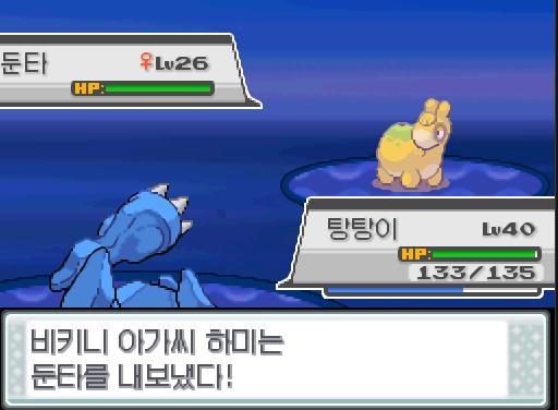 탕탕이의 아이언헤드! 상대 흉내내는 쓰러졌다! 땃쥐공주와 탕탕이는 798 경험치를 얻었다! 포켓몬 트레이너 연가람의 포켓몬 6 VS 비키니 아가