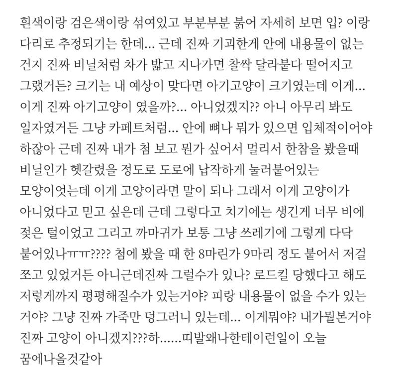 이걸 하소연판에 적어도 되나 싶긴한데 혹시 까마귀가 그냥 봉지 같은 쓰레기에도 다다닥 븥어있나??... 나 방금 집오는 길에 까마귀가 도로에 다
