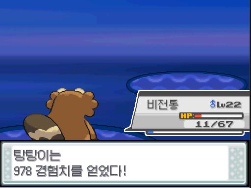 비전통의 파도타기! 효과가 굉장했다! 상대 둔타는 쓰러졌다. 비전통은 978 경험치를 얻었다. 비전통은 레벨 22로 올랐다! 탕탕이는 978 경