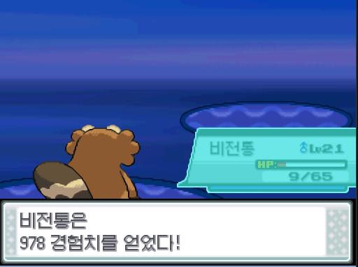 비전통의 파도타기! 효과가 굉장했다! 상대 둔타는 쓰러졌다. 비전통은 978 경험치를 얻었다. 비전통은 레벨 22로 올랐다! 탕탕이는 978 경