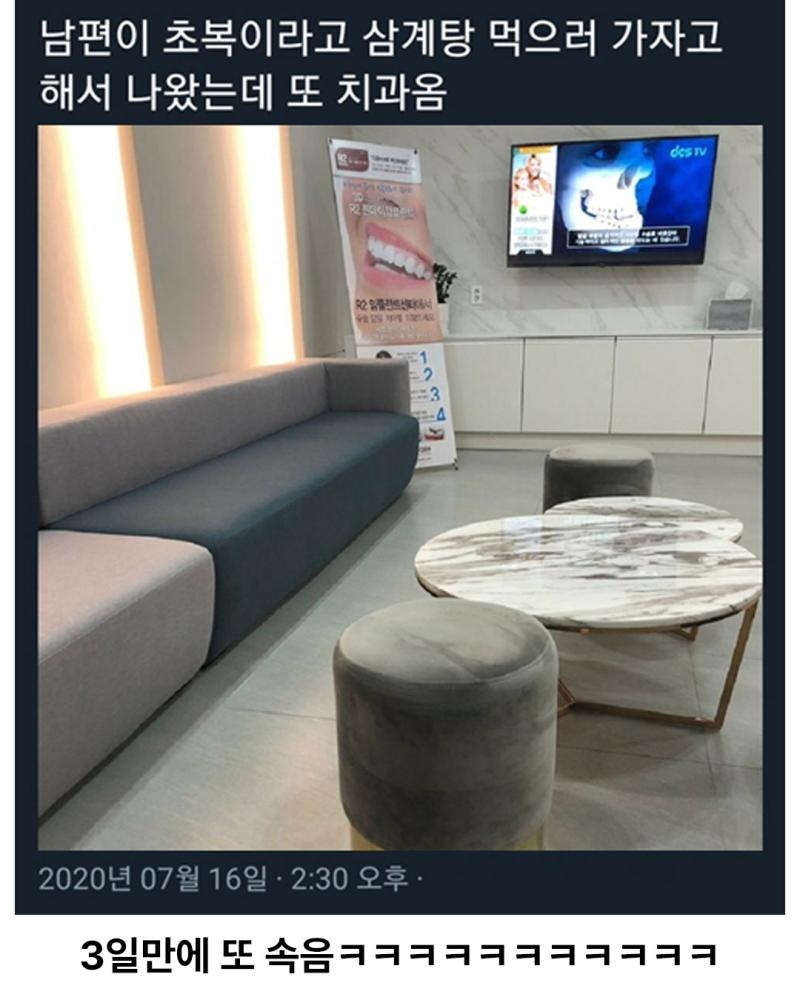 치과 데려가는 법