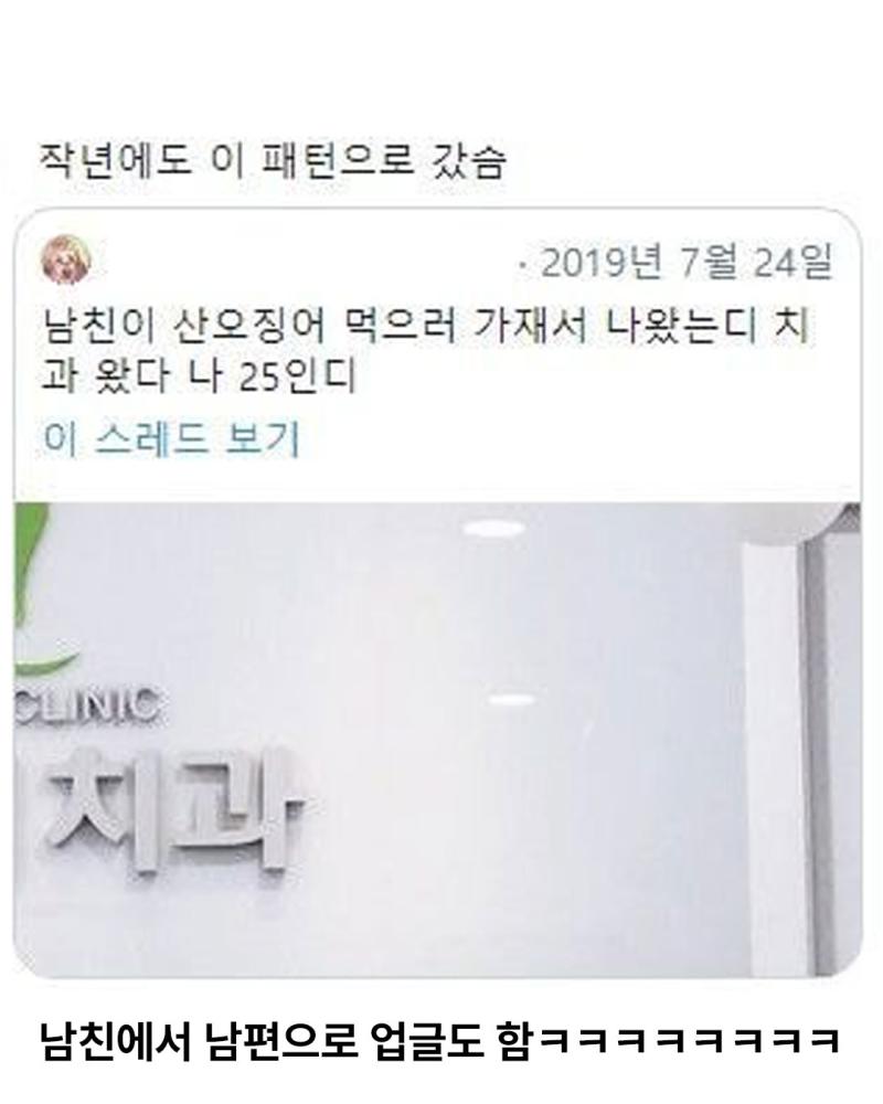 치과 데려가는 법