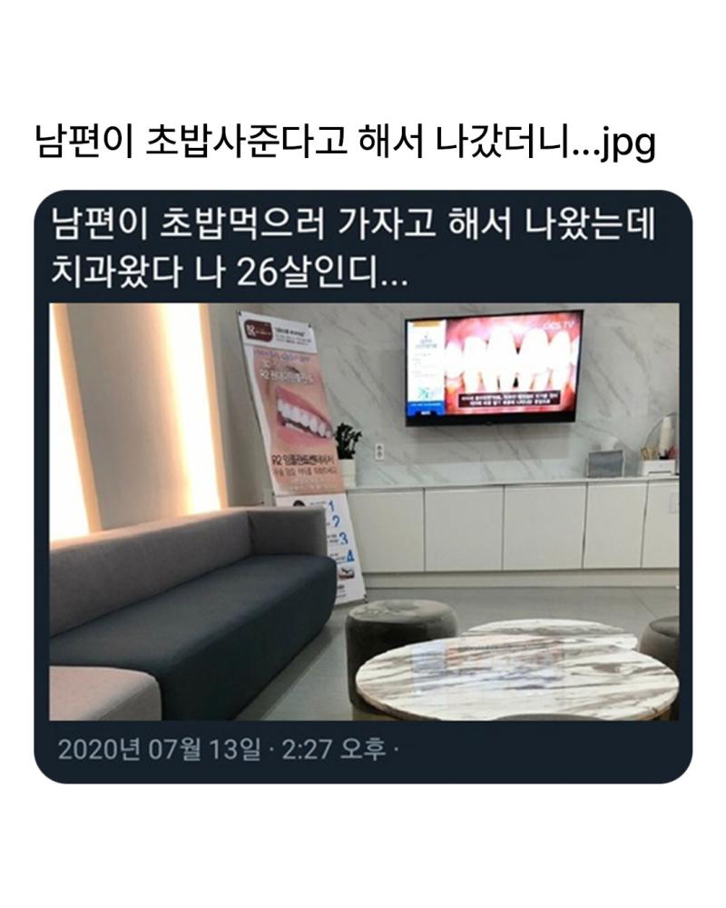 치과 데려가는 법