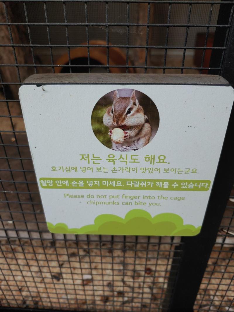 저는 육식도 해요