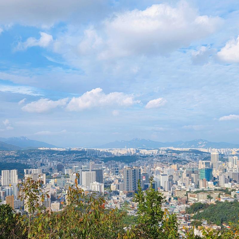 남산 가따 왔는데 사람이 너뮤 만흠..그래도 이번엔 구절초+남산샷 성공띠🩷