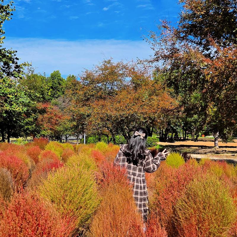 가을뇨자가 되🍂