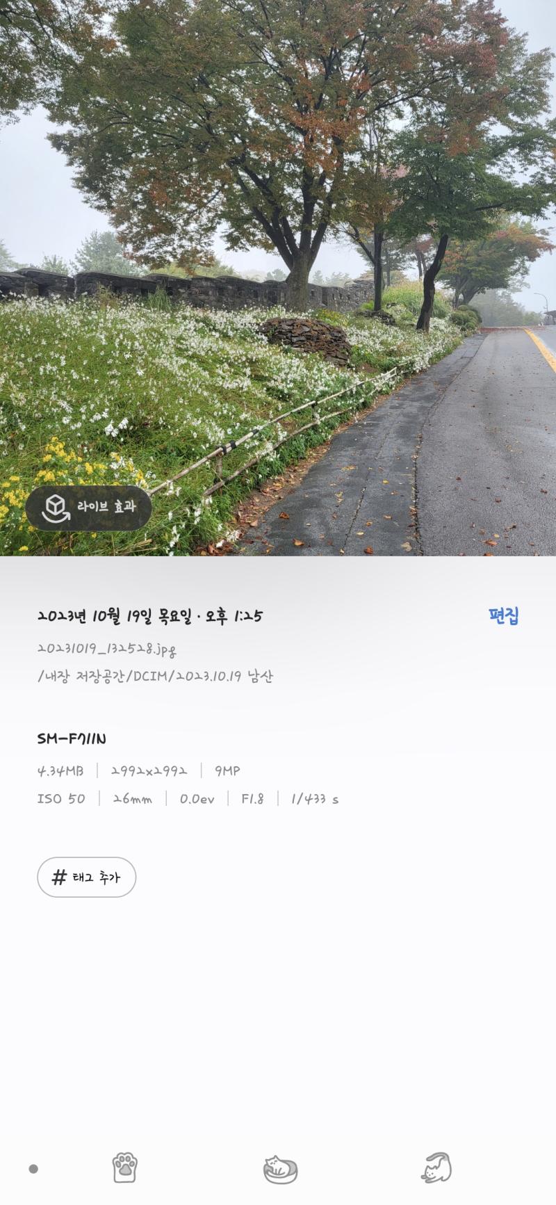 엄마랑 얘기하다 안건데 같은 날 남산 갔다 왔다는거ㅋㅋㅋ