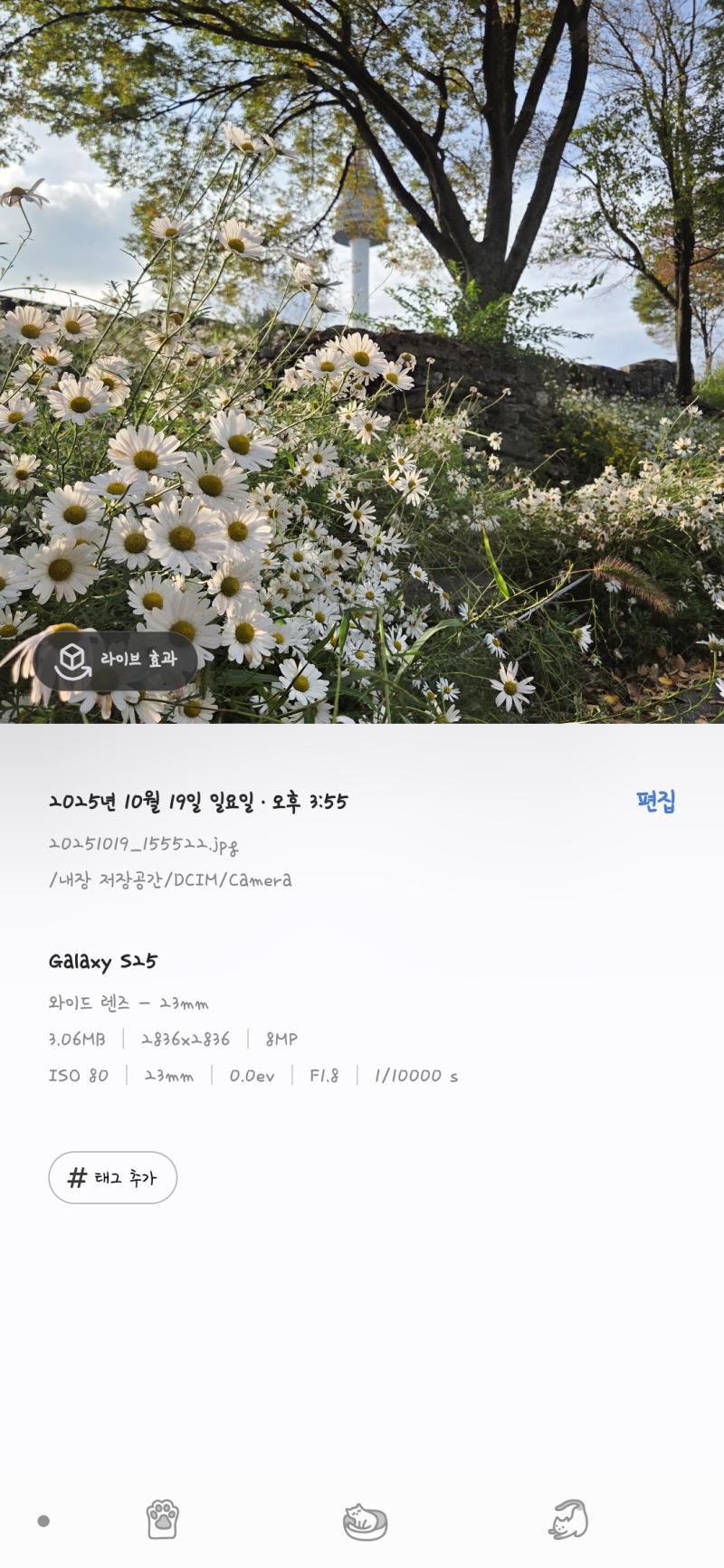 엄마랑 얘기하다 안건데 같은 날 남산 갔다 왔다는거ㅋㅋㅋ