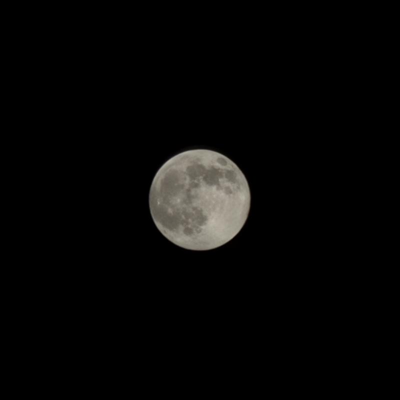 오늘 보름달이래 6년만에 가장 큰 슈퍼문🌕🩷